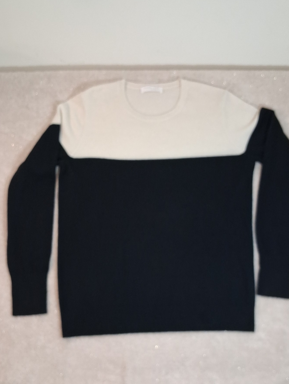 Everlane Two-Tone Crewneck Sweater in Black and Cream